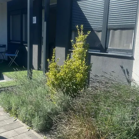 Dream Summer House Дом отдыха *