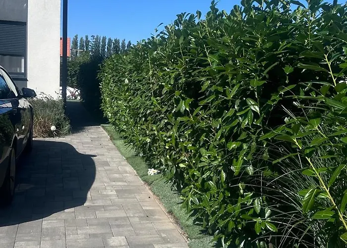 Dream Summer House *